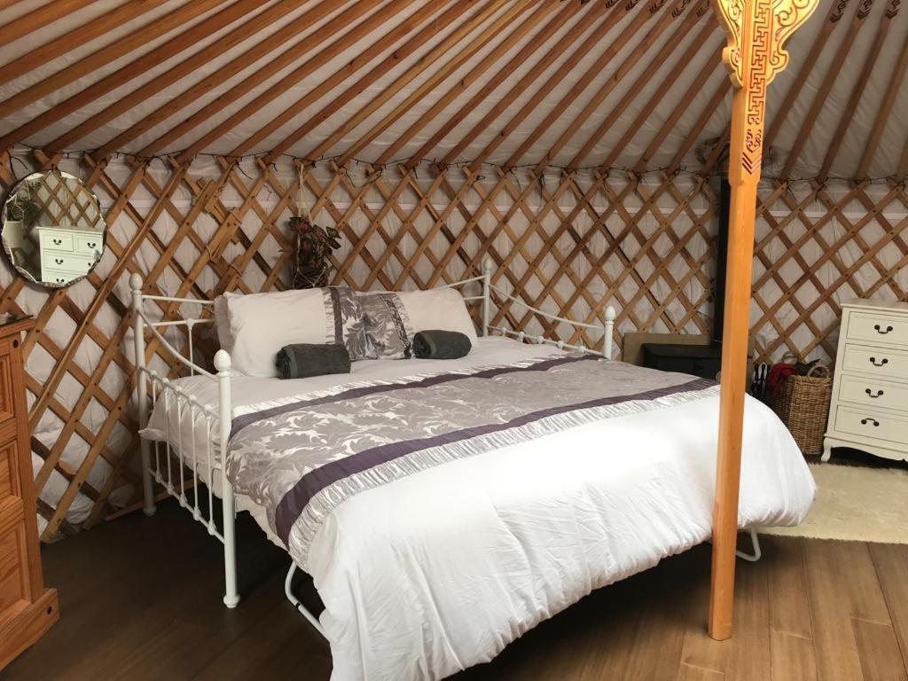 Hotel Buzzard Holt Hosting Buckingham Zewnętrze zdjęcie
